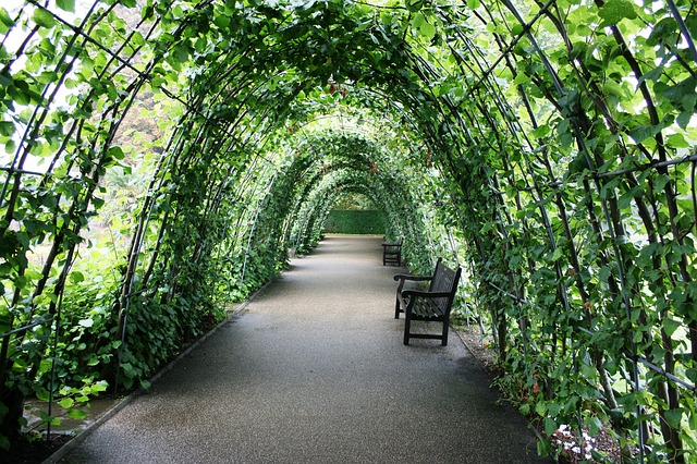 tunnel-of-plants
